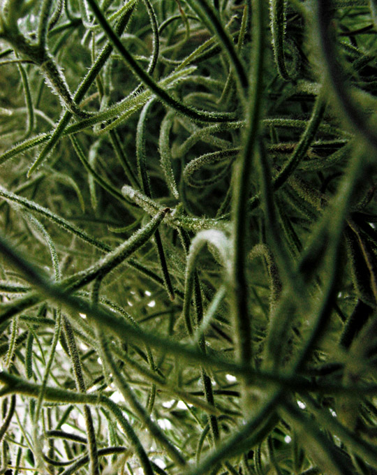 Photography by pwis0807 for DesignCrowd (Community Contests) | Design #8969395