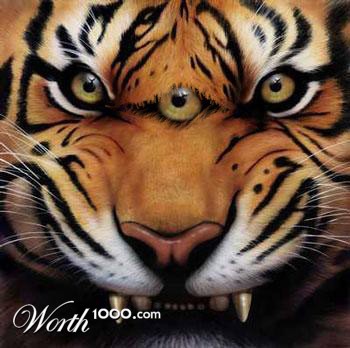 Photoshop Design by olenczuk80