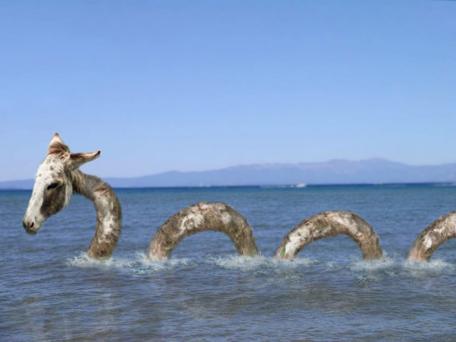 Photoshop-Design von timothyansell für DesignCrowd (Community Contests) | Design #8971846