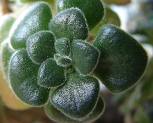 Photography by Bunarooba for DesignCrowd (Community Contests) | Design #8969470