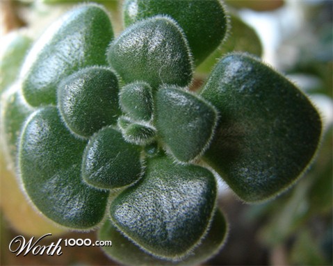 Photography by Bunarooba