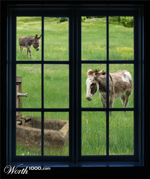 Photoshop Design by lucimine