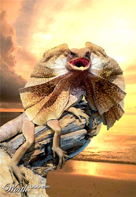 Photoshop Design by DutchPuh