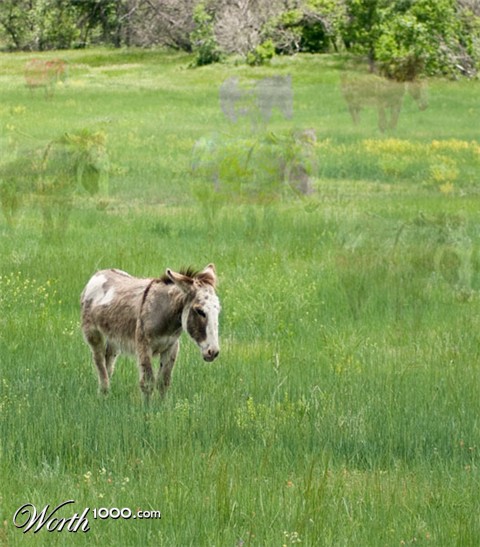 Photoshop Design by artworks94