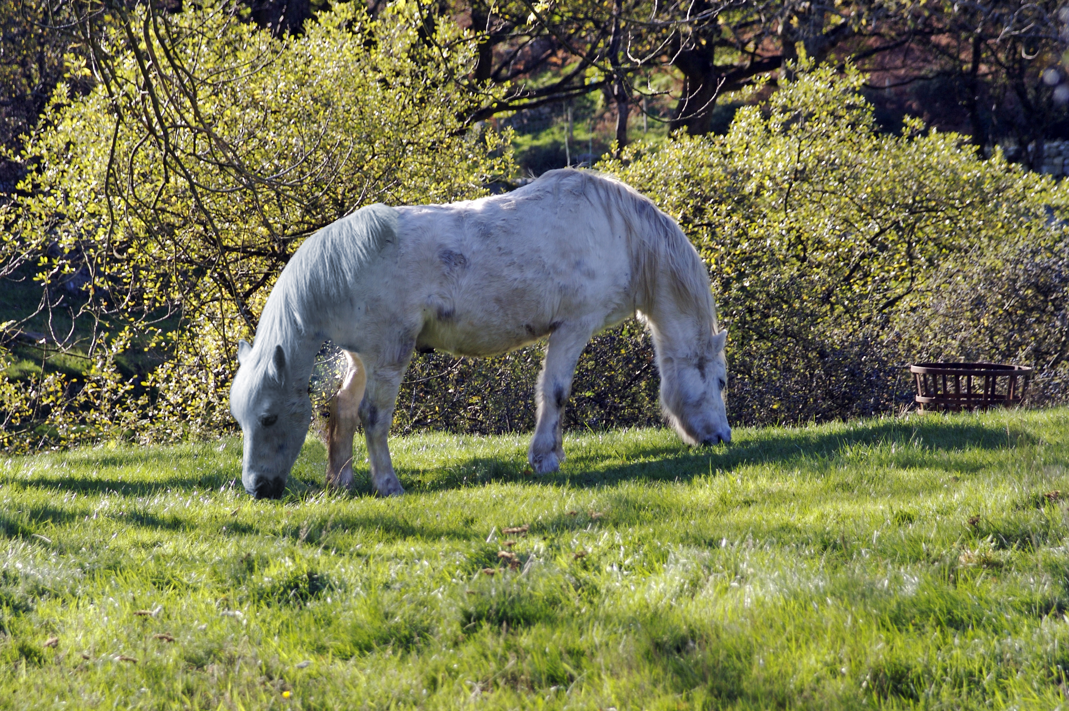 Diseño de Photoshop por jcamilo para DesignCrowd (Community Contests) | Diseño #8973182