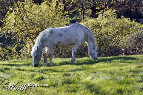 Photoshop Design by jcamilo