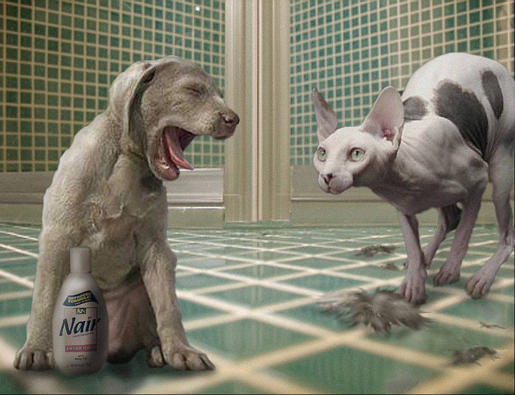 Photoshop Design by Solipse1 for DesignCrowd (Community Contests) | Design #8975370