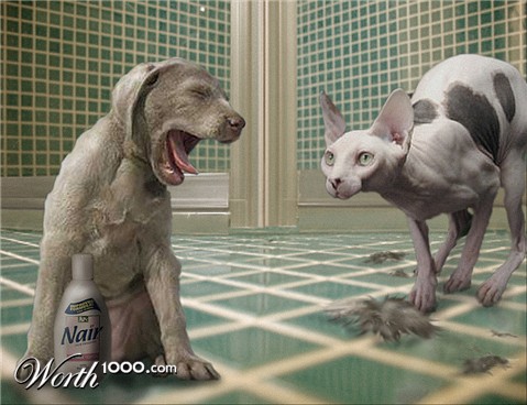 Photoshop Design by Solipse1