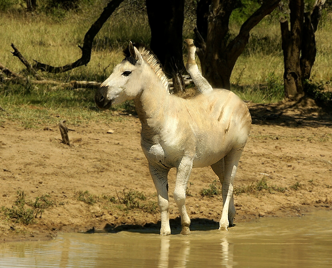 Photoshop-Design von trbngr für DesignCrowd (Community Contests) | Design #8973189