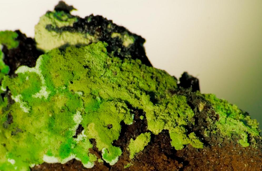 Photography by OsirisX for DesignCrowd (Community Contests) | Design #8969464