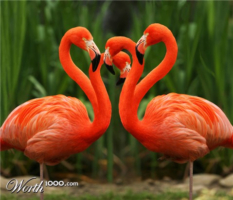 Photoshop Design by Lsgenie