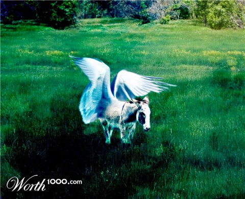 Photoshop Design by sceptrix