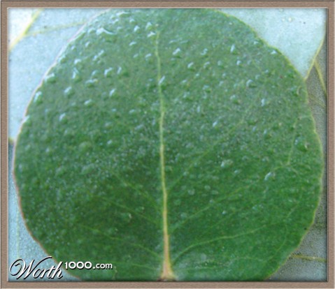 Photography by Swish1940