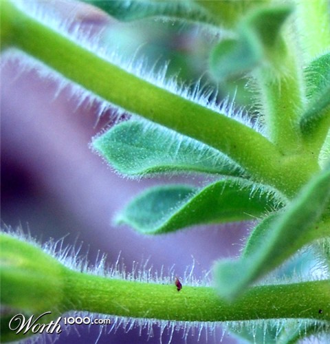 Photography by Tiffa130