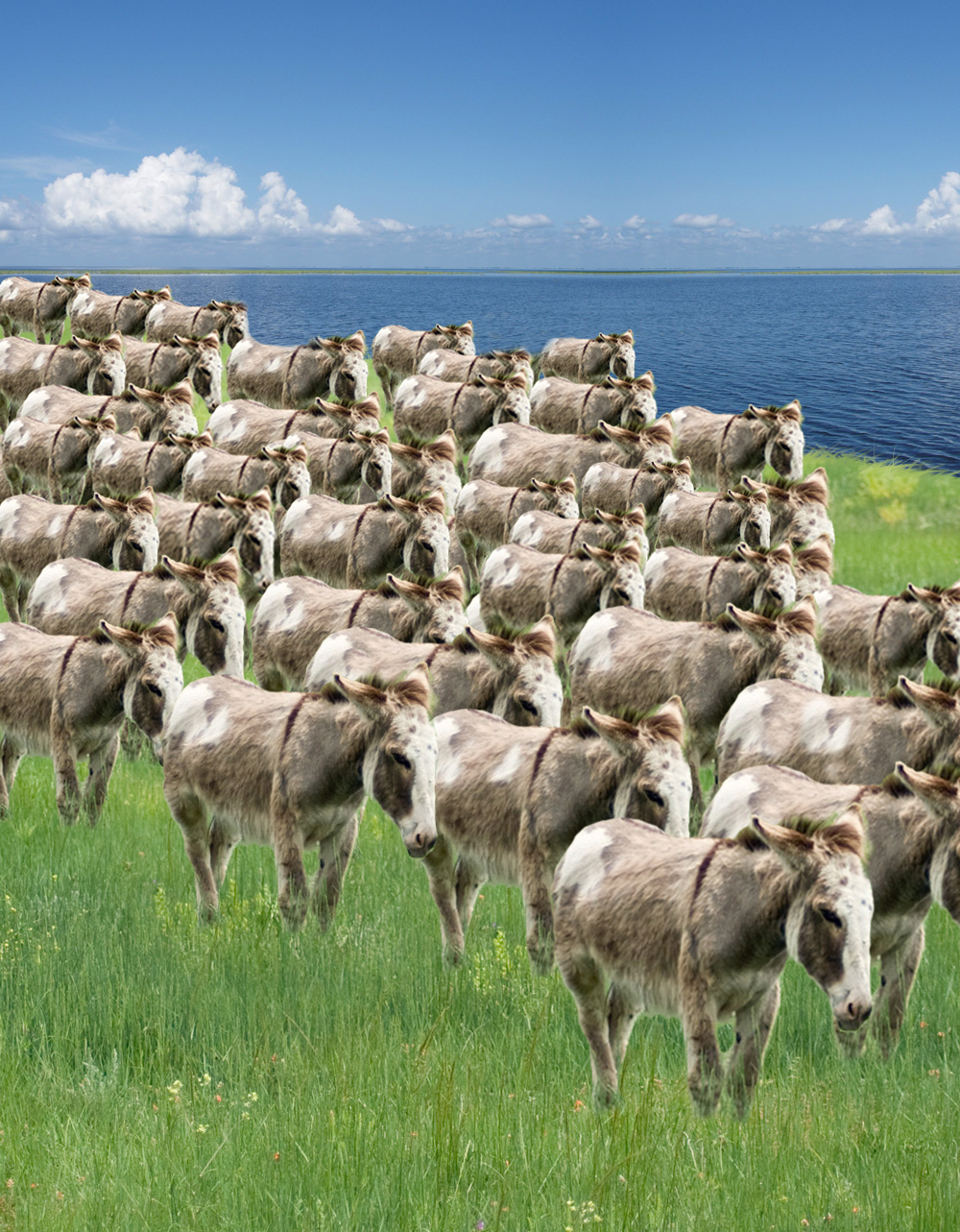 Photoshop-Design von lachie1134 für DesignCrowd (Community Contests) | Design #8971908