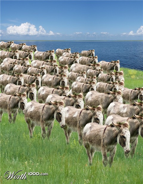 Photoshop Design by lachie1134