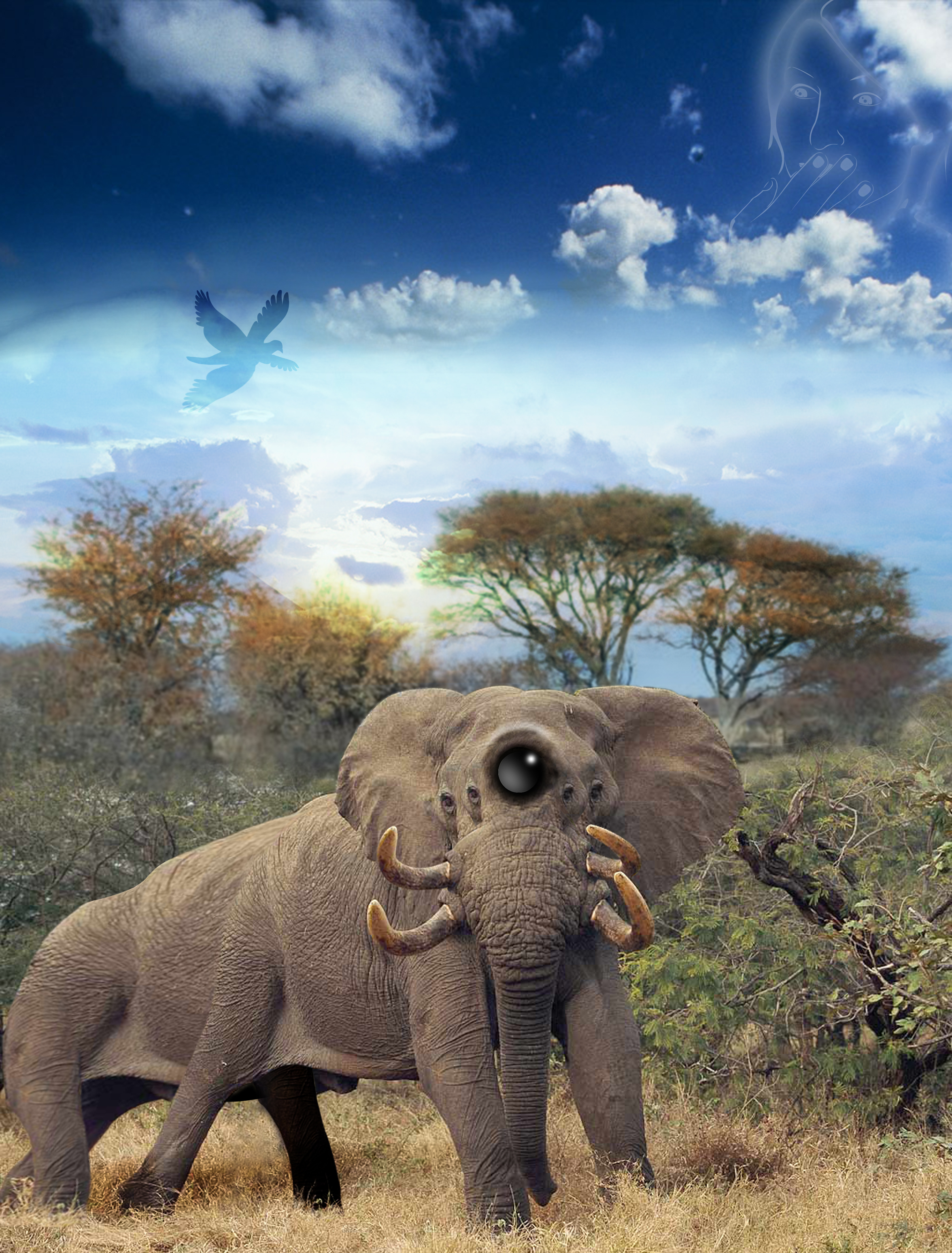 Diseño de Photoshop por B3ns0n para DesignCrowd (Community Contests) | Diseño #8973326