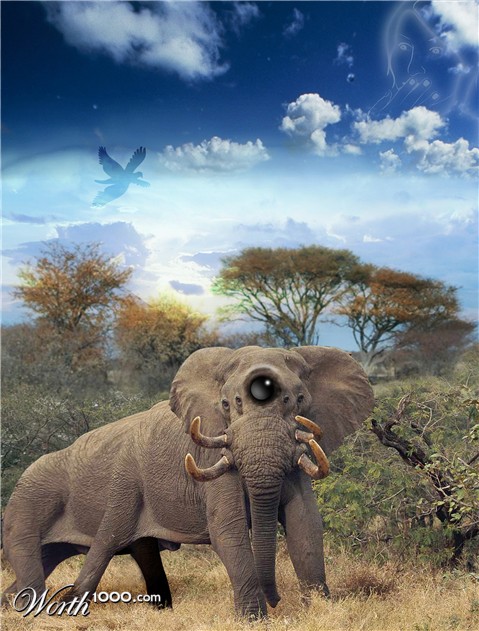 Photoshop Design by B3ns0n