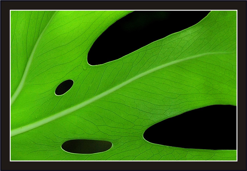 Photography by Tyssen for DesignCrowd (Community Contests) | Design #8969456