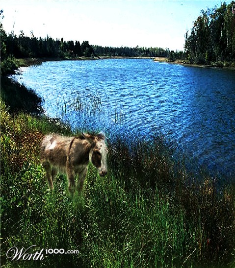 Photoshop Design by Zman220