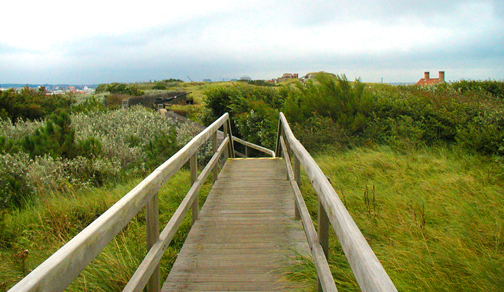 Photography by Artifakts for DesignCrowd (Community Contests) | Design #8967963