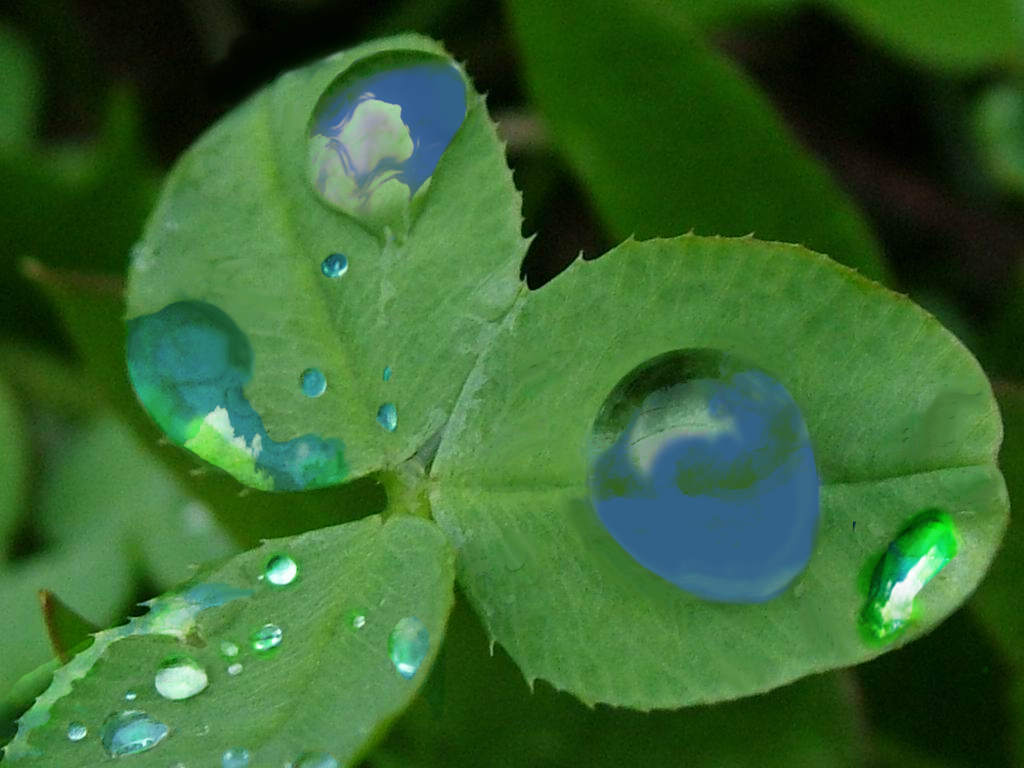 Photoshop Design by studiotexsmyth for DesignCrowd (Community Contests) | Design #8973121