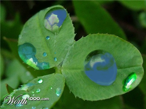 Photoshop Design by studiotexsmyth