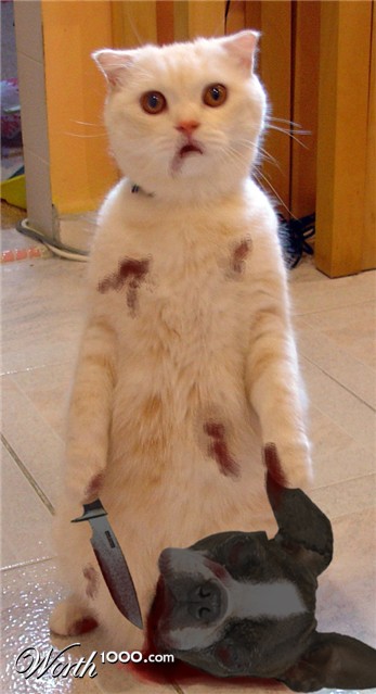 Photoshop Design by PseudoEvolution