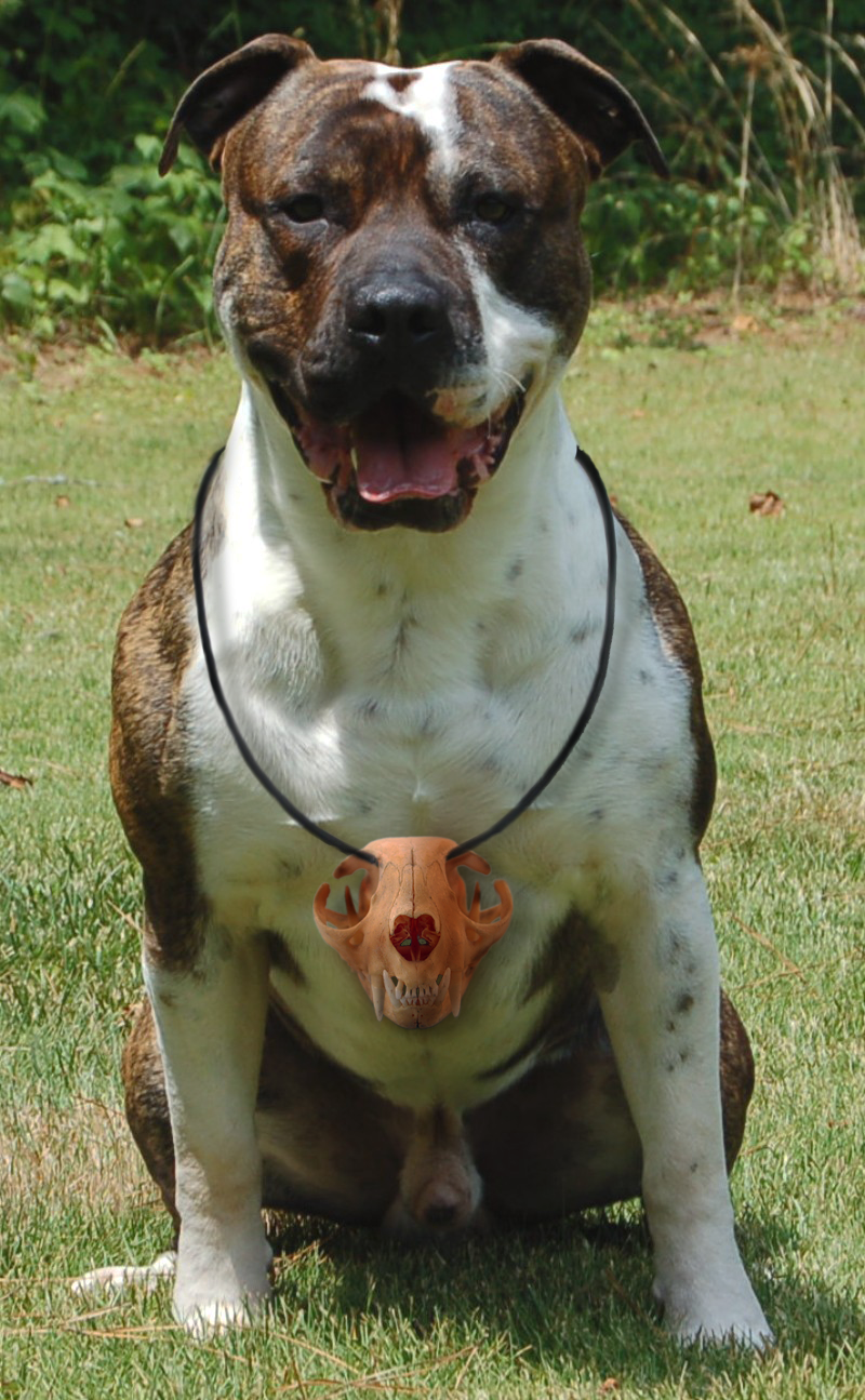 Photoshop Design by amalmansy for DesignCrowd (Community Contests) | Design #8975420