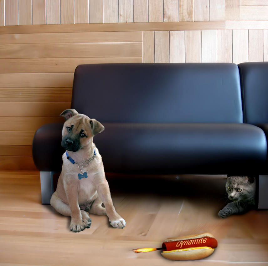 Photoshop Design by lucimine for DesignCrowd (Community Contests) | Design #8975426