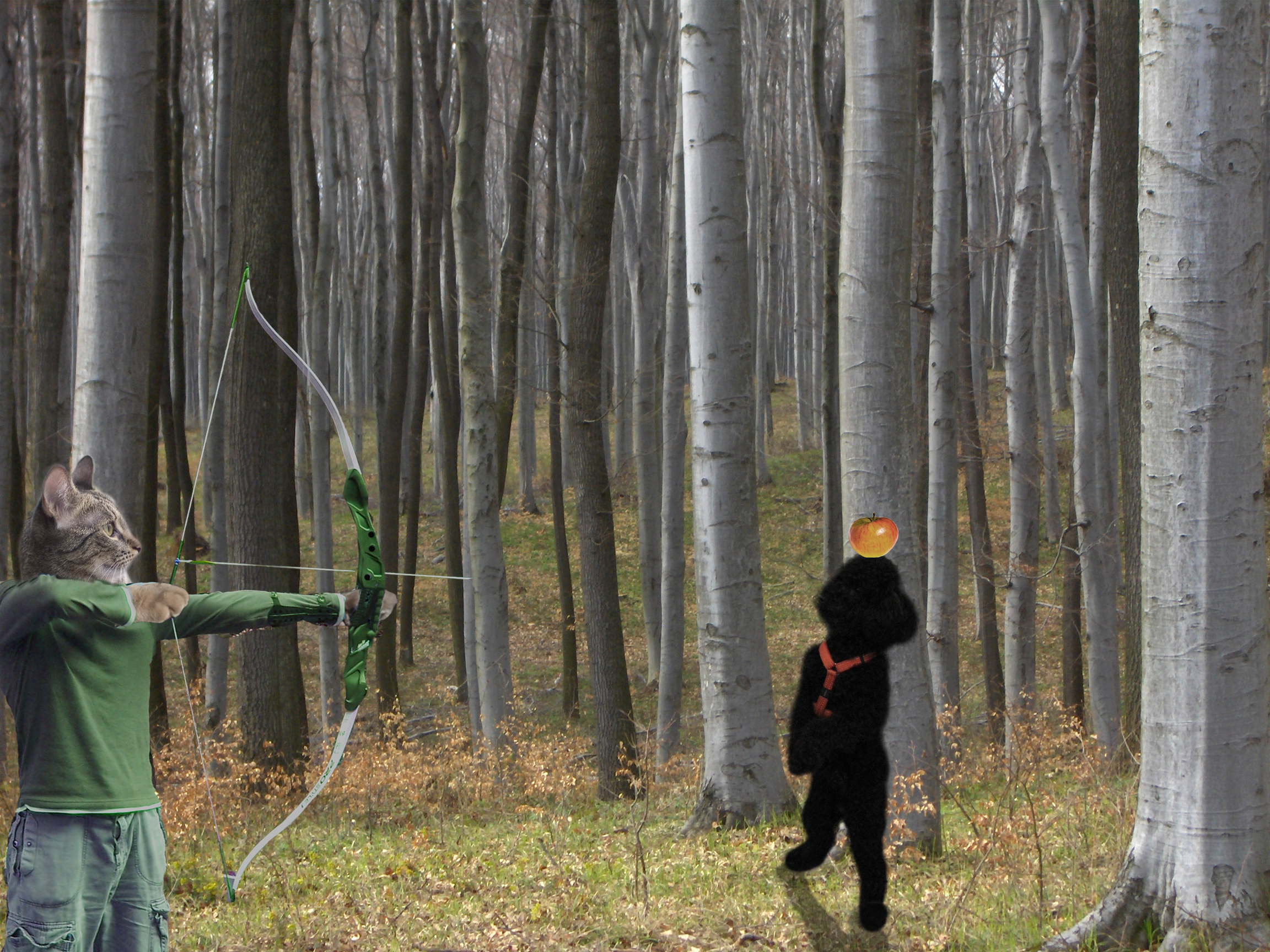 Photoshop Design by suss51luss for DesignCrowd (Community Contests) | Design #8975435