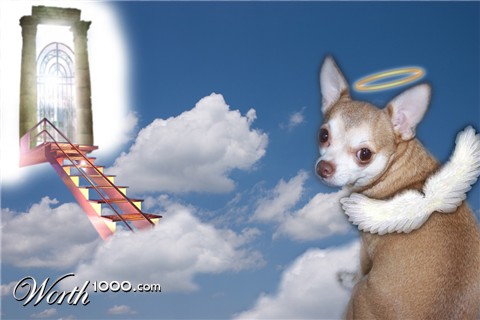 Photoshop Design by DixieGirl82