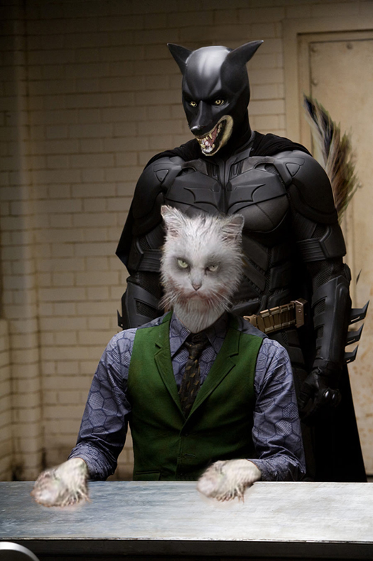 Photoshop Design by TheWitte1 for DesignCrowd (Community Contests) | Design #8975466