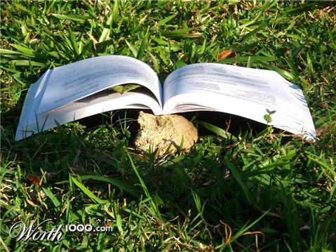Photography by Crion