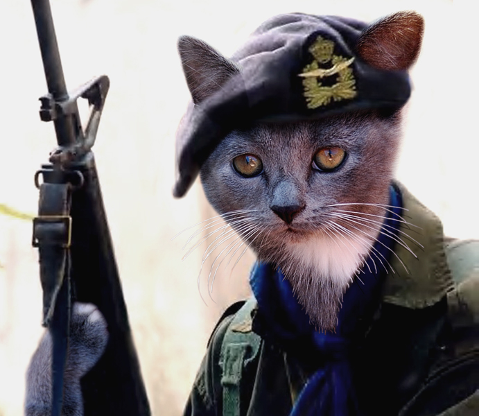 Diseño de Photoshop por Chimmi para DesignCrowd (Community Contests) | Diseño #8975398