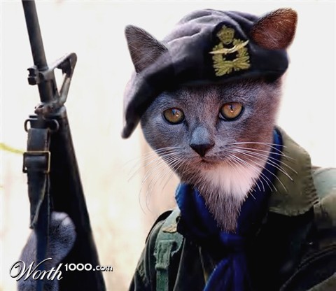 Photoshop Design by Chimmi