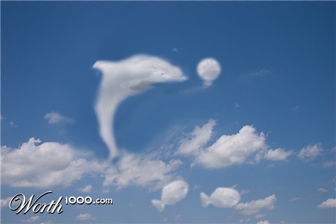 Photoshop Design by calebh