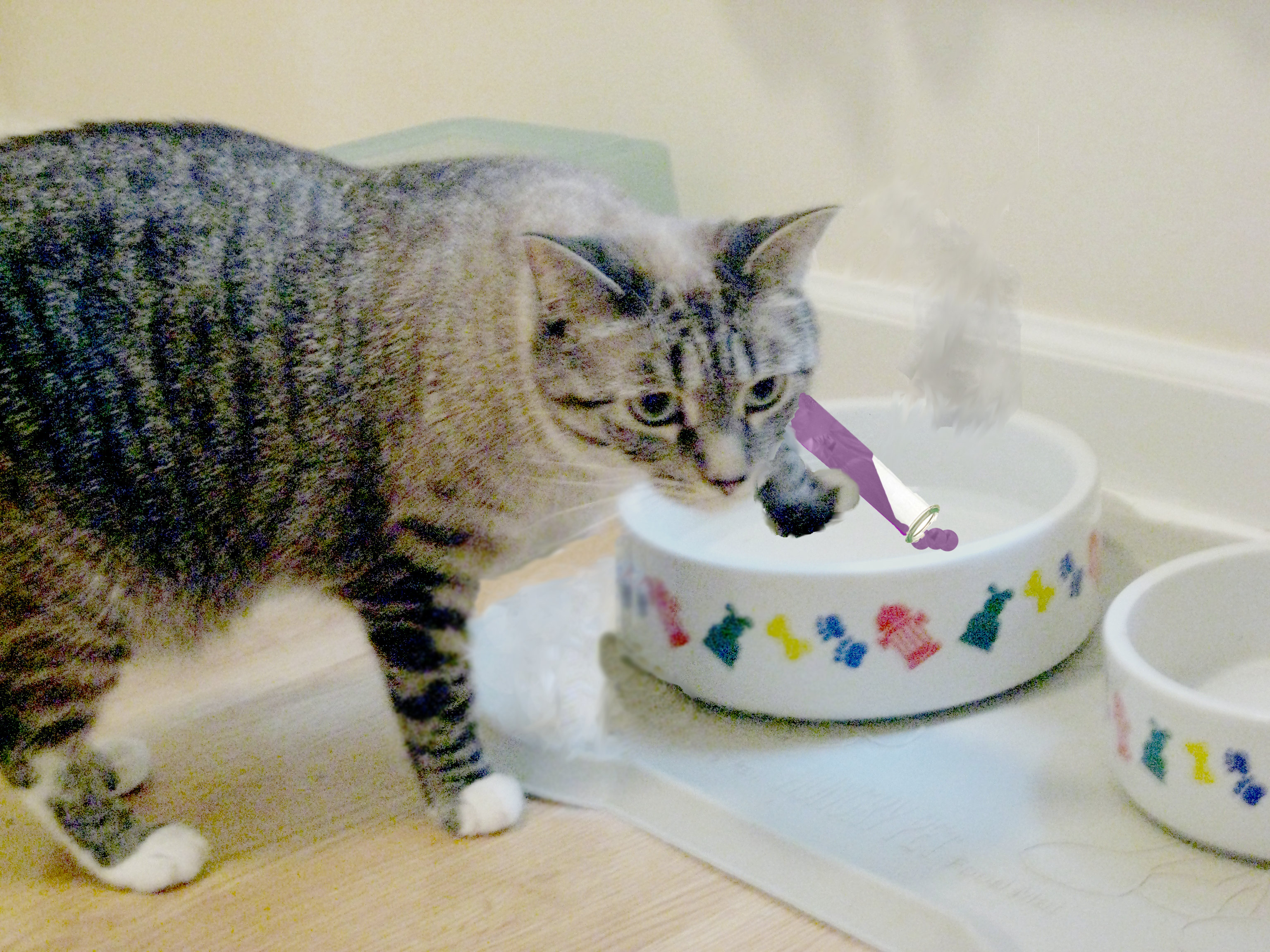 Photoshop Design by anagram7507 for DesignCrowd (Community Contests) | Design #8975471