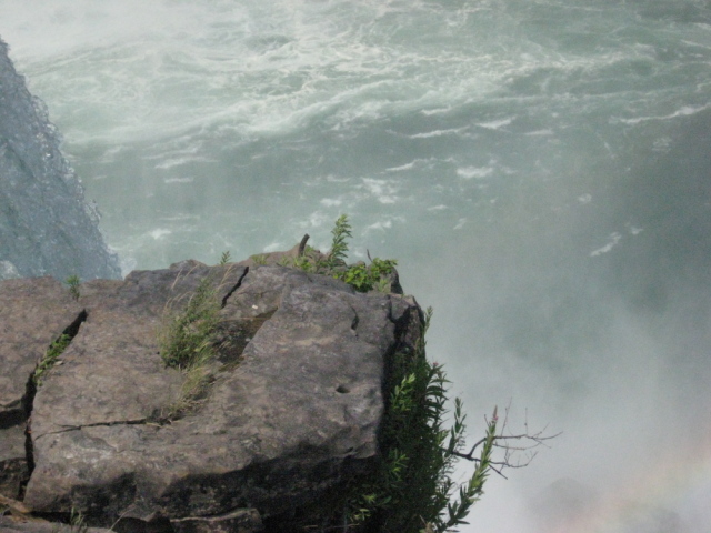 Photography by anagram7507 for DesignCrowd (Community Contests) | Design #8968026