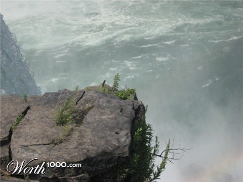 Photography by anagram7507