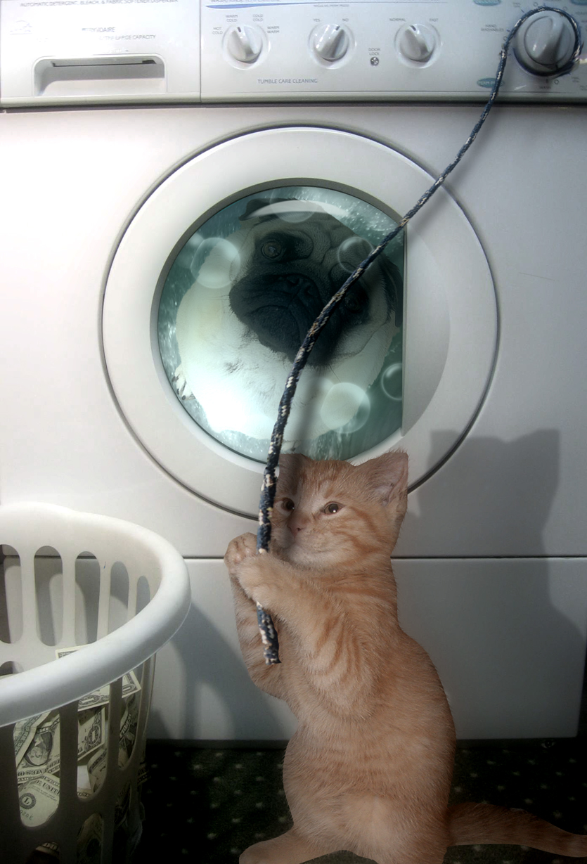 Diseño de Photoshop por ruppelman para DesignCrowd (Community Contests) | Diseño #8975429