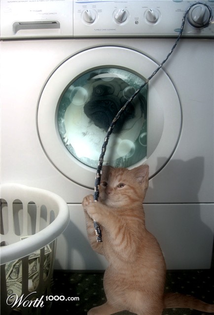 Photoshop Design by ruppelman