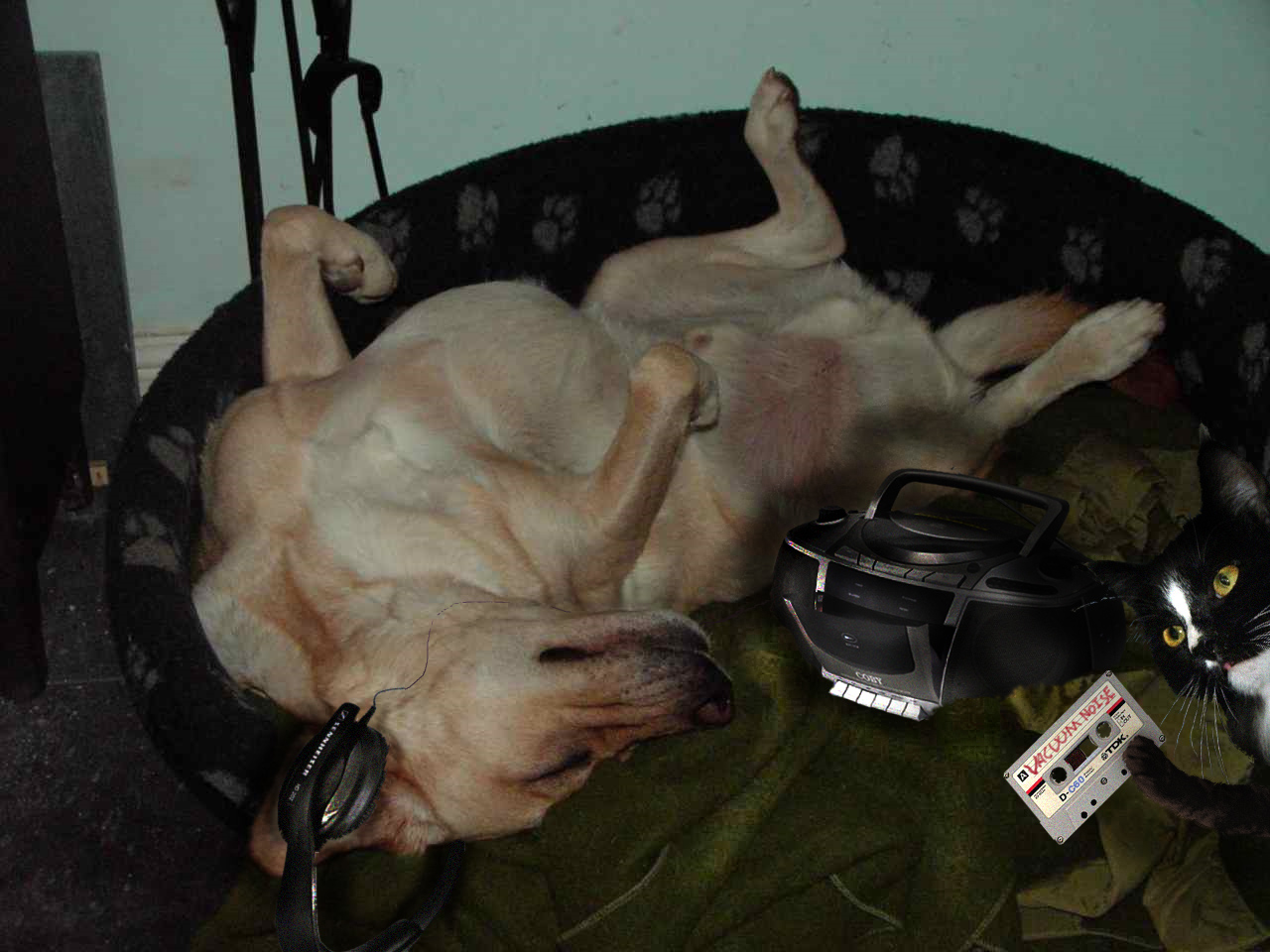 Photoshop Design by Spyhunter534 for DesignCrowd (Community Contests) | Design #8975511