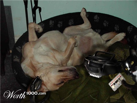 Photoshop Design by Spyhunter534