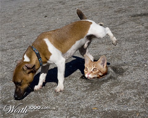 Photoshop Design by CouchPotato