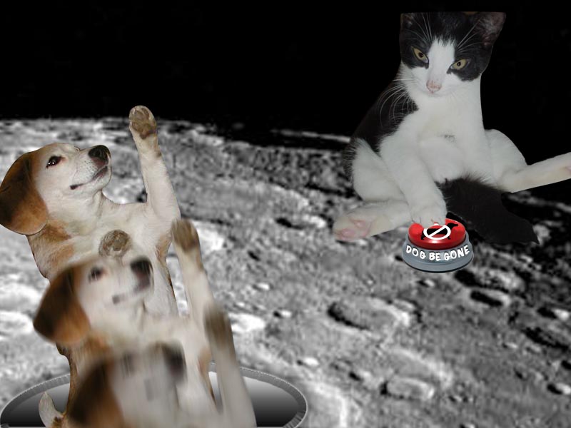 Photoshop Design by allanoora for DesignCrowd (Community Contests) | Design #8975506