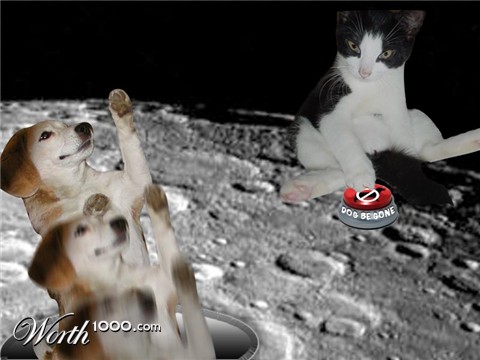 Photoshop Design by allanoora