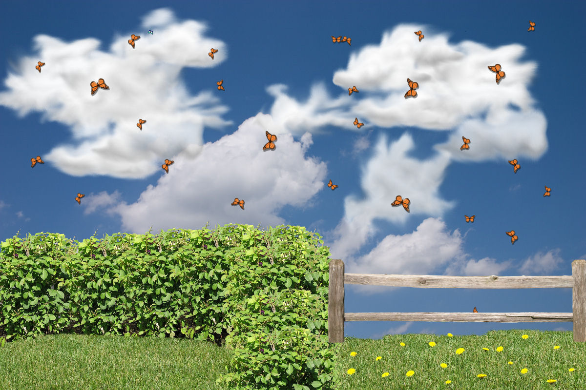 Design Photoshop par jresqyr pour DesignCrowd (Community Contests) | Design #8973304