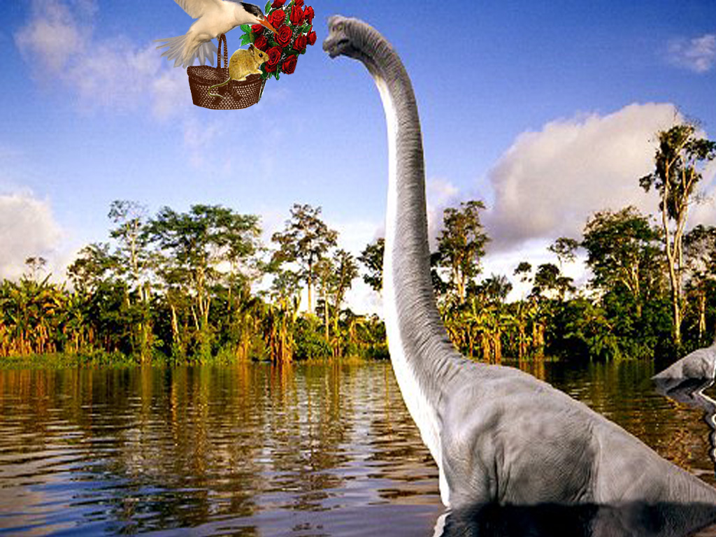 Photoshop Design by saniarox19 for DesignCrowd (Community Contests) | Design #8973839