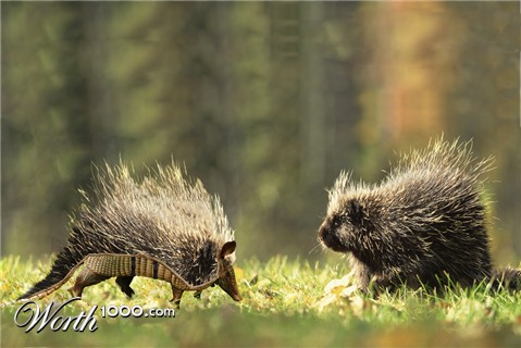 Photoshop Design by Gwenulf